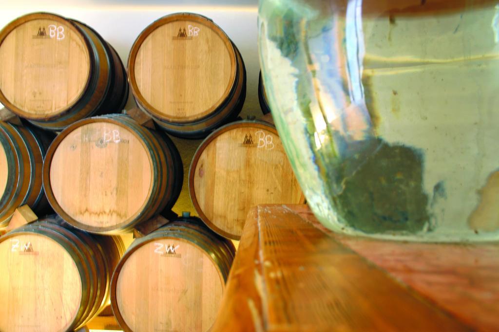 Weingut Martinshof Hotel Sankt Ulrich  Ngoại thất bức ảnh